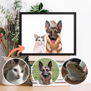 Custom Pets Portrait